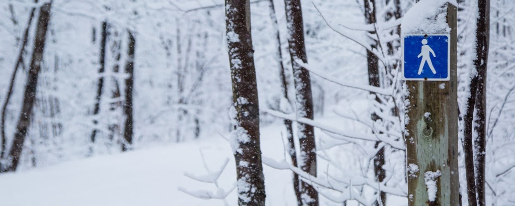 Parc Terre-des-Jeunes | 20 Rue des Nations, Victoriaville, QC G6P 7H9, Canada | Phone: (819) 758-1571