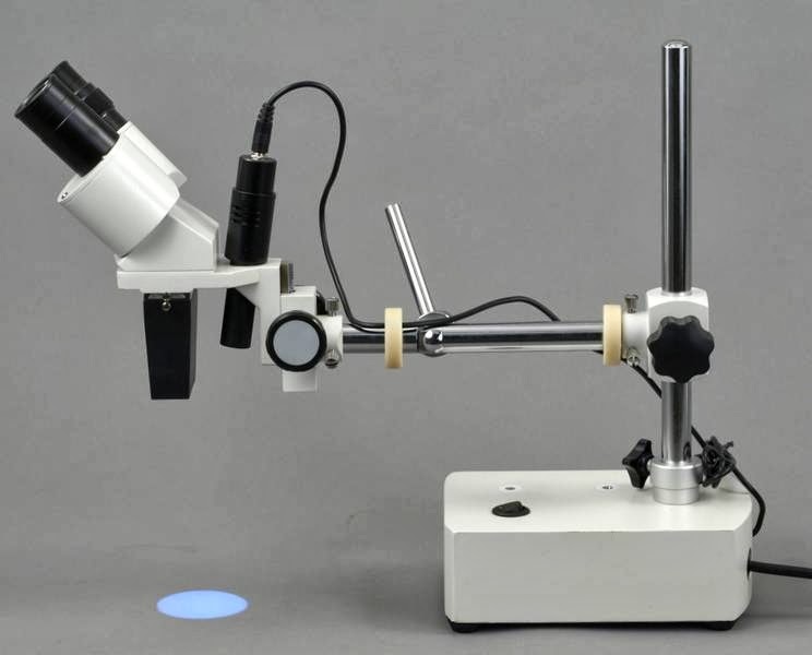 MicroscopeNet.com | 54 Beasley Dr, Kitchener, ON N2E 1Y6, Canada | Phone: (800) 672-7101