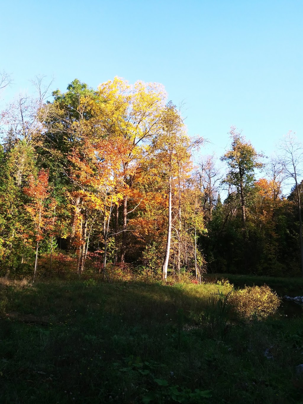 South Richvale Greenway Walk | Richmond Hill, ON L4C 9V6, Canada | Phone: (905) 771-8800