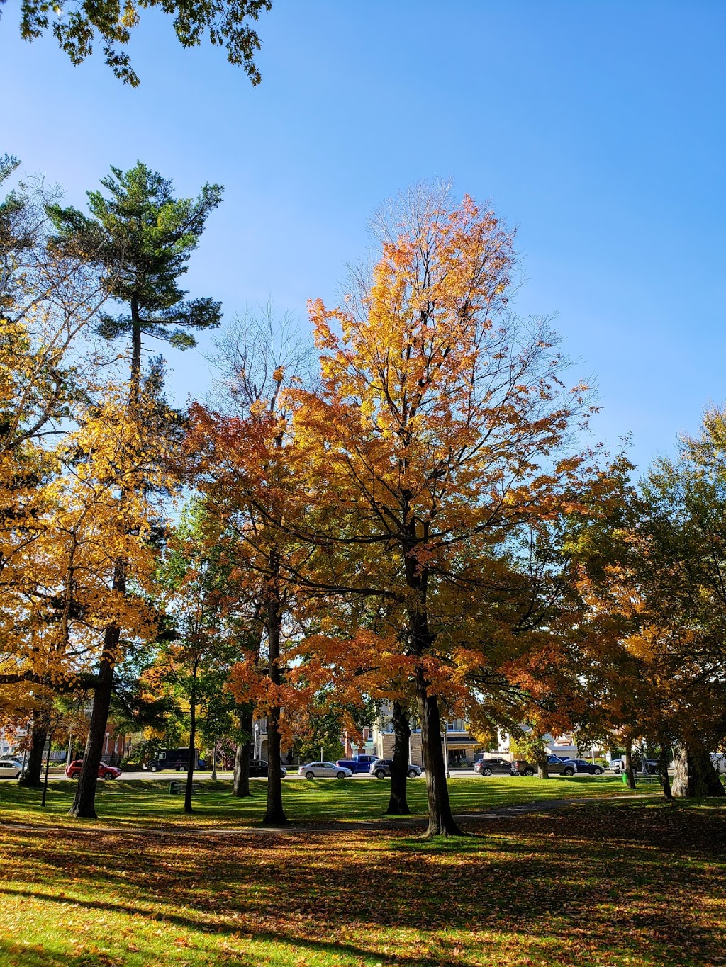 Lynnwood Park | 91 Norfolk St N, Simcoe, ON N3Y, Canada