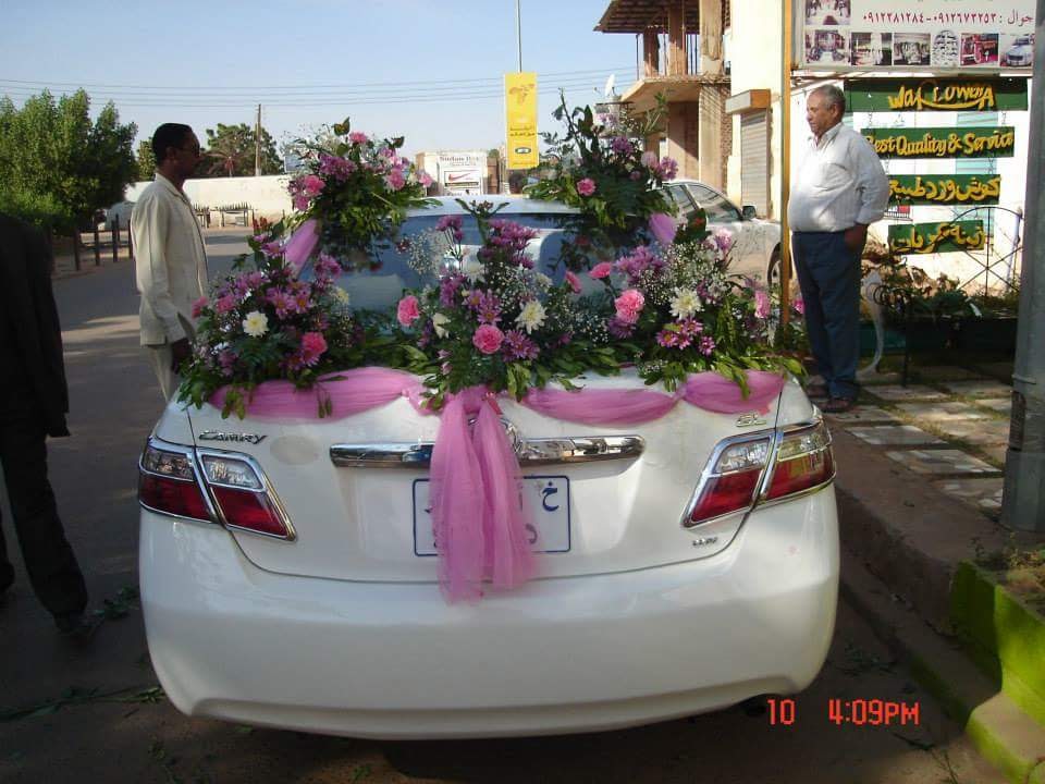 Wafa Flowers | 148 Mt Albion Rd, Hamilton, ON L8K 5S8, Canada | Phone: (365) 777-5226