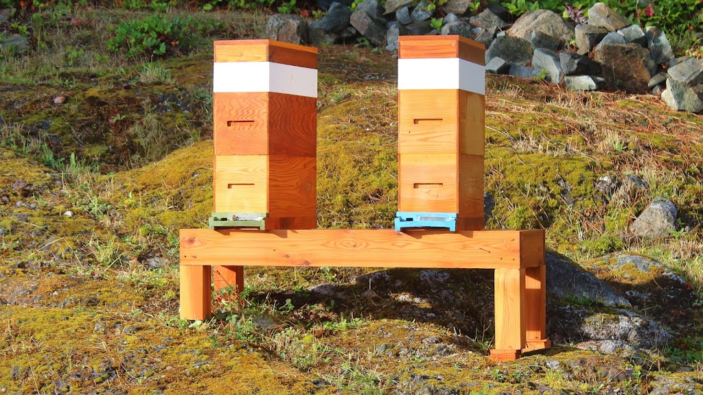 Island Bees | 160 Donore Rd, Salt Spring Island, BC V8K 2H3, Canada | Phone: (250) 538-2203