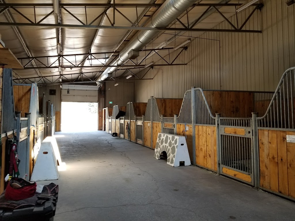 Alborak Stable Inc. | 62134 Township Rd 252, Calgary, AB T3Z 3R7, Canada | Phone: (403) 932-4819