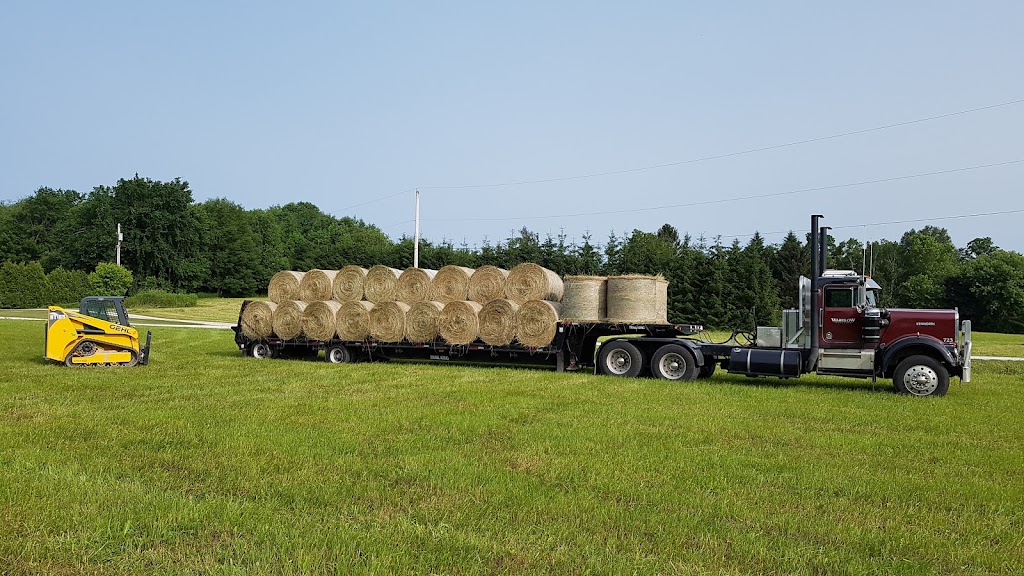 Warrilow Trucking Corpoation | 177623, Grey County Rd 18, Owen Sound, ON N4K 5N5, Canada | Phone: (519) 376-5233