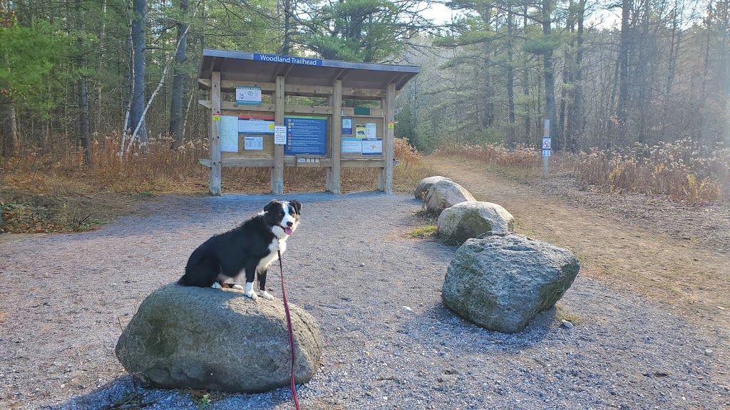 Woodland Trailhead, Northumberland County Forest | 199-101 Woodland Rd, Roseneath, ON K0K 2X0, Canada | Phone: (905) 372-3329 ext. 2303
