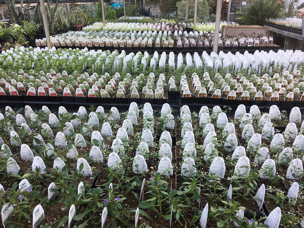 Sebringville Garden Centre | 137 Huron Rd, Stratford, ON N5A 6S6, Canada | Phone: (519) 393-6131