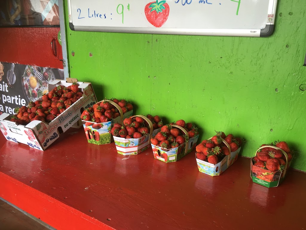 Fruitière Mario Nadeau | 2347 Chem. des Bois Francs E, Thetford Mines, QC G6H 3C8, Canada | Phone: (418) 335-7979