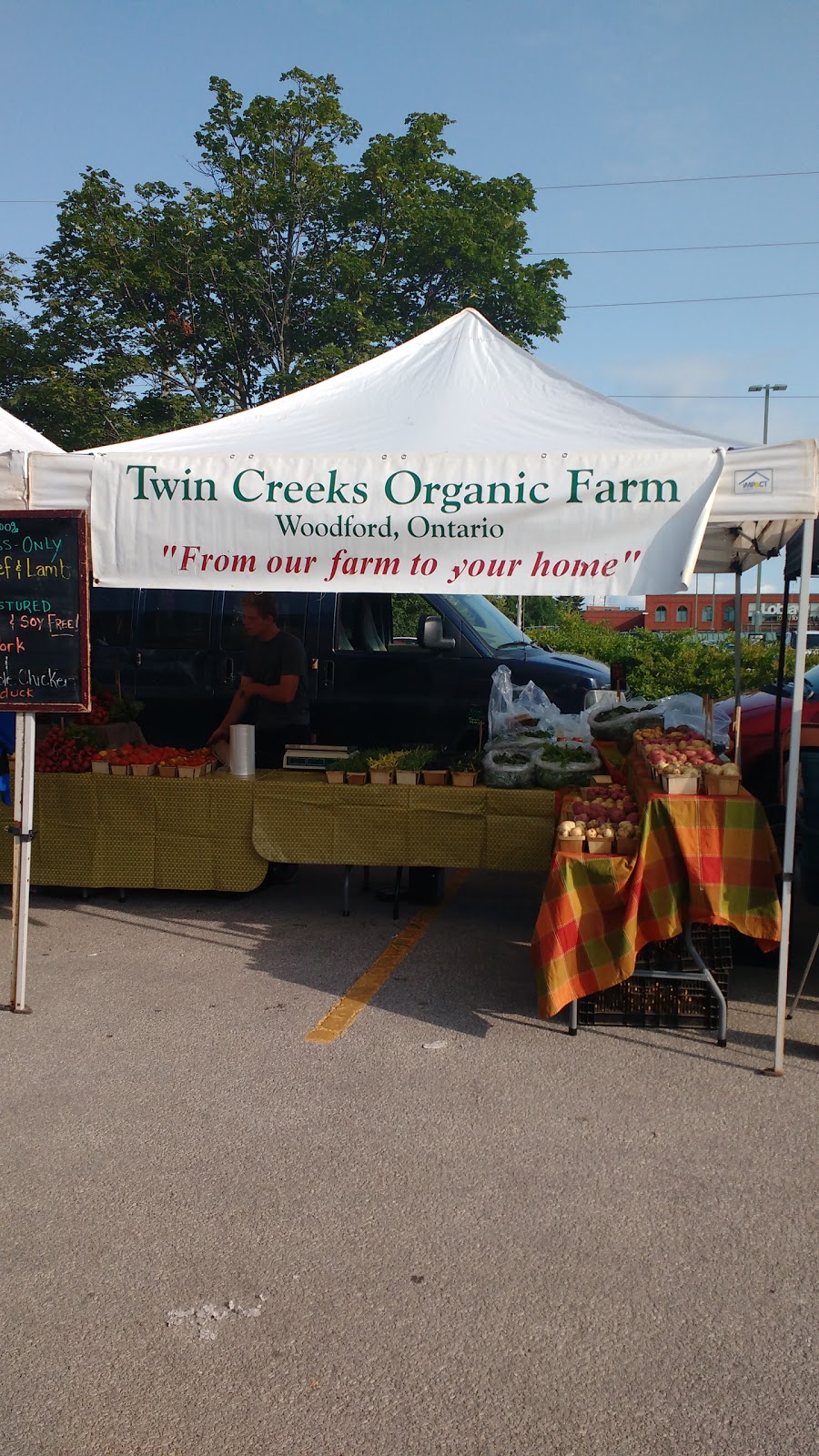 Downtown Collingwood Farmers Market | Ontario St, Collingwood, ON L9Y 2P1, Canada | Phone: (705) 445-5595