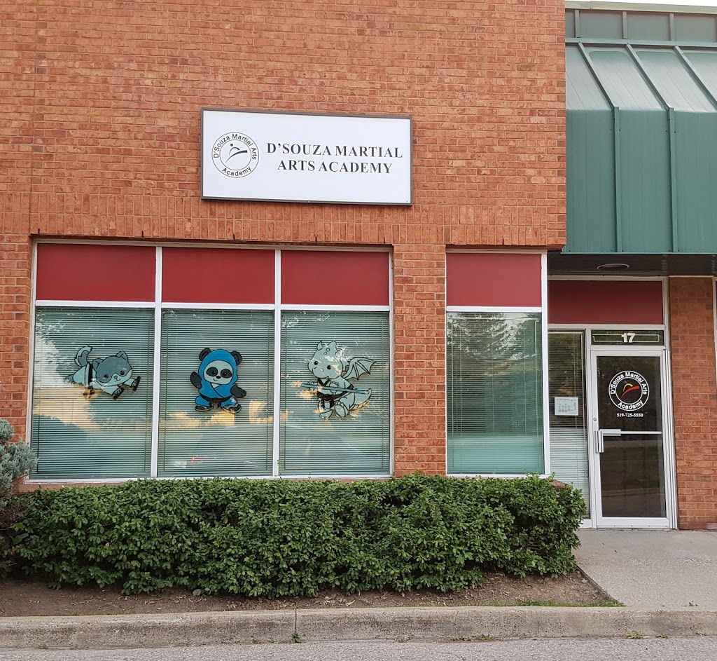 DSouza Martial Arts Academy | 60 Bathurst Dr #17, Waterloo, ON N2V 2A9, Canada | Phone: (519) 725-5550
