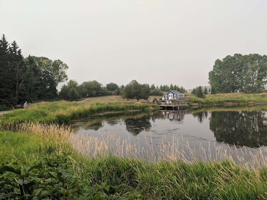 Ellis Bird Farm Tea House | Prentiss Road, AB T0C 0Y0, Canada | Phone: (403) 885-4477