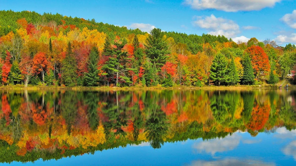 Mayflower Lake Trail | Huntsville, ON P1H 2J4, Canada | Phone: (705) 789-5105