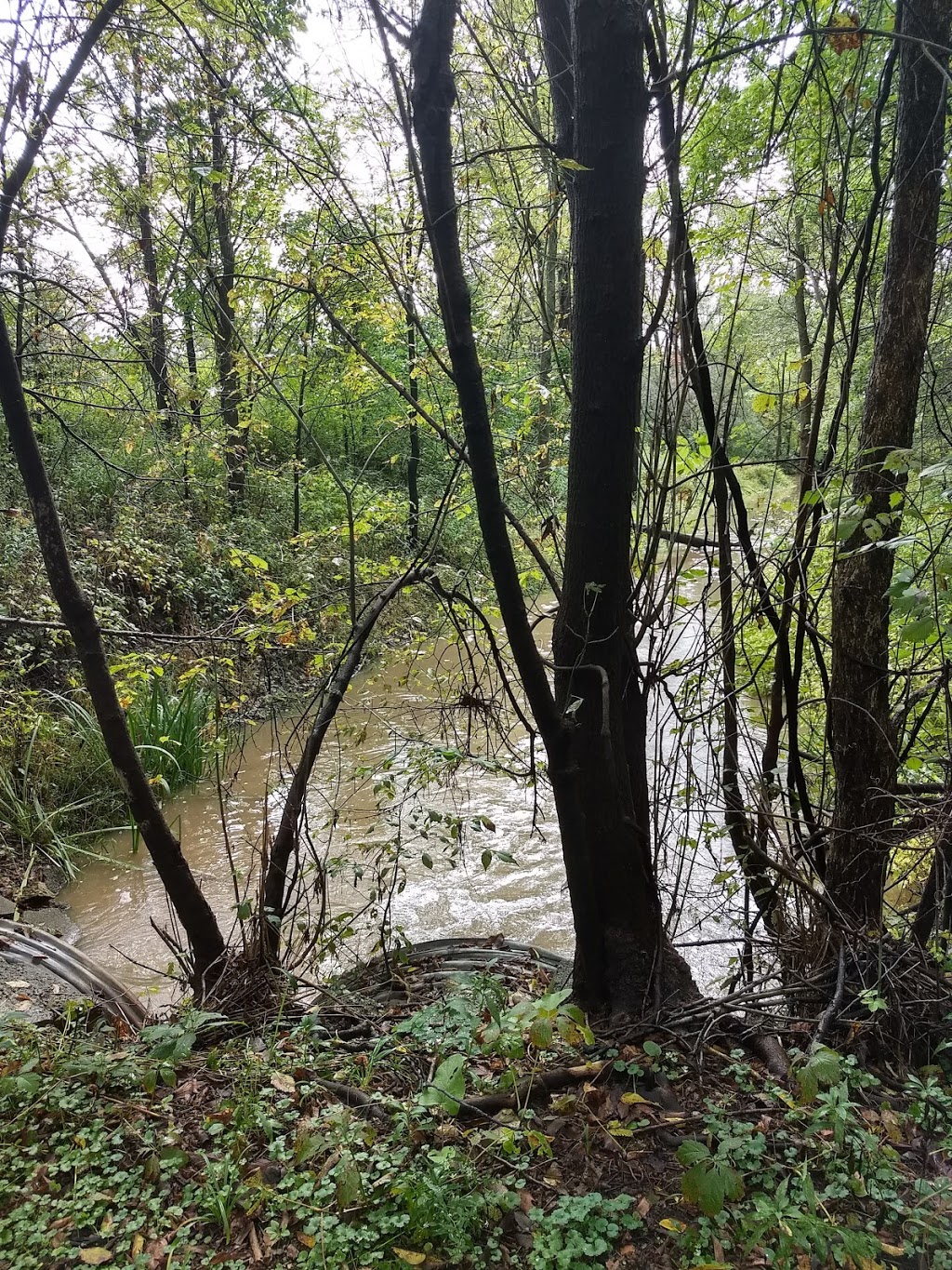 China Township Belle River Access Park | Belle River Rd, China Township, MI 48054, USA