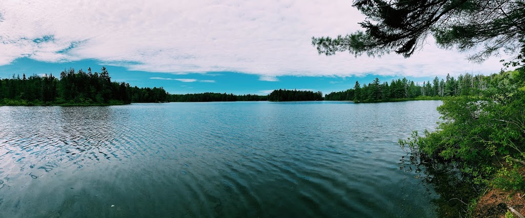 Algonquin Highlands Trails | 1123 North Shore Rd, Algonquin Highlands, ON K0M 1J1, Canada | Phone: (705) 766-9033