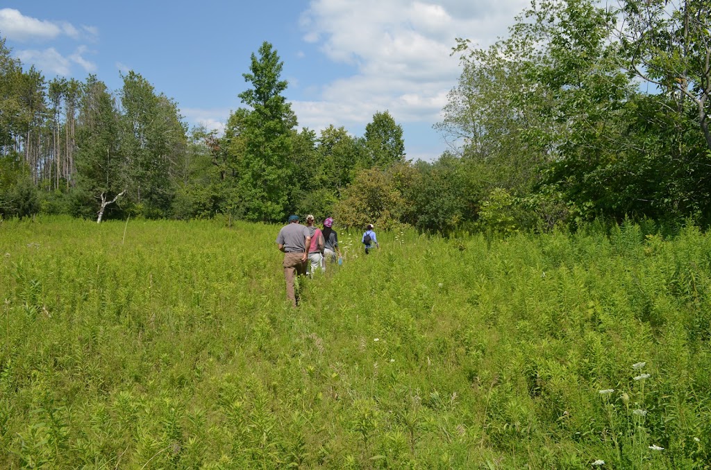 Scugog Nature School | 19400 St Christophers Beach Rd, Nestleton, ON L0B 1L0, Canada | Phone: (905) 986-4401