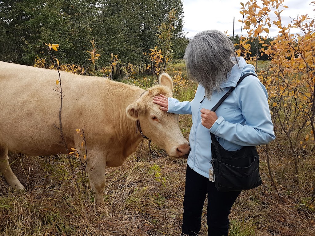 Wildflower Bride Farms | Unnamed Road, Hay Lakes, AB T0B 1W0, Canada | Phone: (780) 878-8393