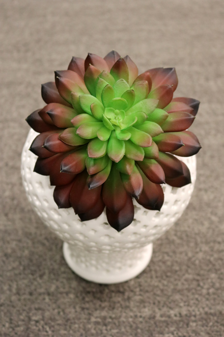 Green Import Limited | 396 Watline Ave, Mississauga, ON L4Z 1X2, Canada | Phone: (905) 502-9955