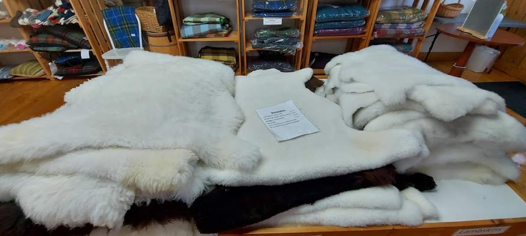 Lismore Sheep Farm & Wool Shop | 1389 Louisville Rd, River John, NS B0K 1N0, Canada | Phone: (902) 351-2594