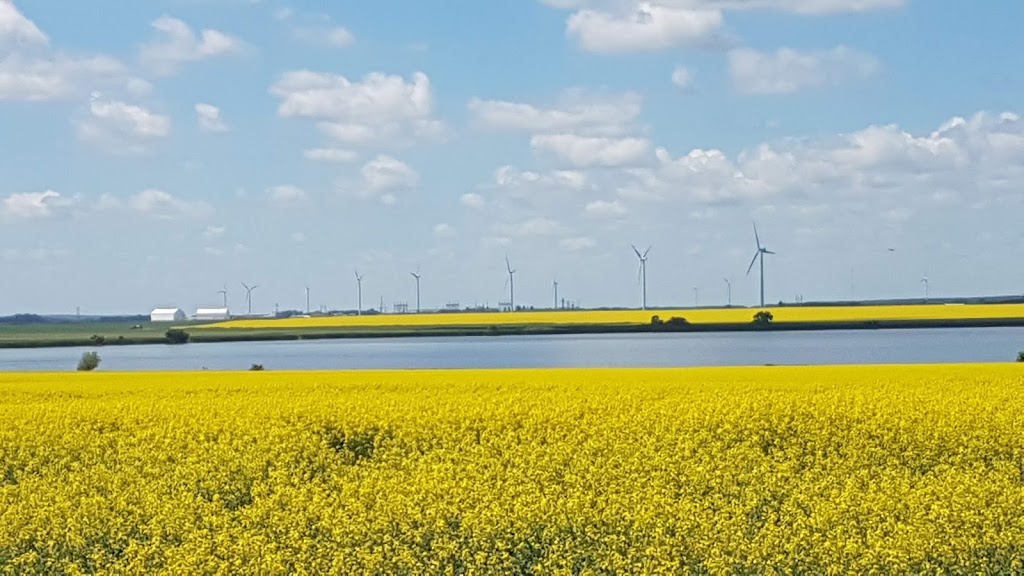 Green leaf farms | Main St, Saint Leon, MB R0G 2E0, Canada | Phone: (204) 801-9993
