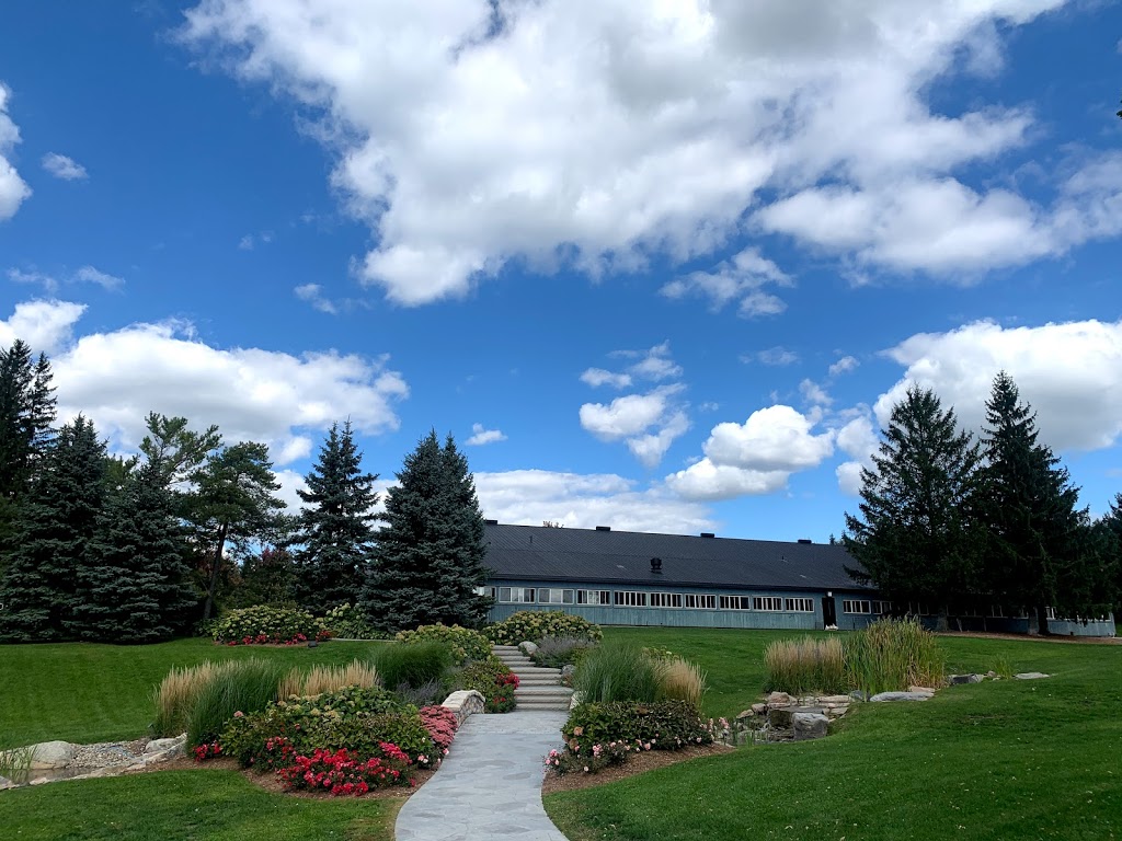 Dog Tales Rescue & Sanctuary | 1405 19th Sideroad, King City, ON L7B 1K5, Canada | Phone: (905) 713-1887