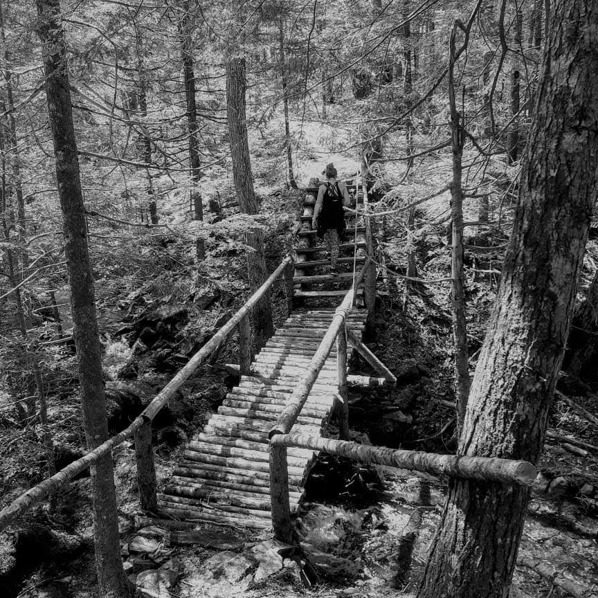 The Wolfville Watershed Nature Preserve | 1351 Forest Hill Rd, Wolfville, NS B4P 2R1, Canada | Phone: (902) 425-5263