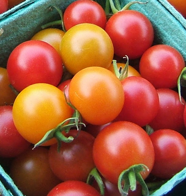 Wild Flight Farm | 205 Rosemond Lake Rd, Mara, BC V0E 2K0, Canada | Phone: (250) 838-7447