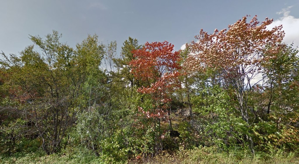 Nursery Nature | 281 Rue Pinel, Chicoutimi, QC G7G 3N7, Canada | Phone: (418) 549-2020