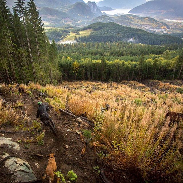Zavitz Insurance & Wealth | 39666 Government Rd #101, Squamish, BC V8B 1B6, Canada | Phone: (604) 961-0262
