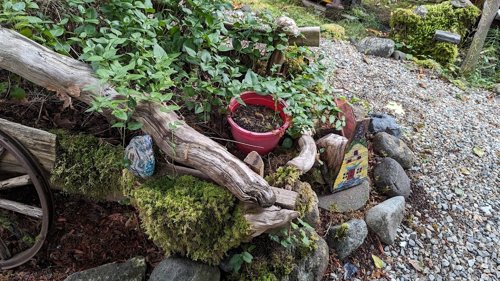 West Coast Chainsaw Artist | 4010 Forbidden Plateau Rd, Courtenay, BC B9J 1P9, Canada | Phone: (778) 992-1032
