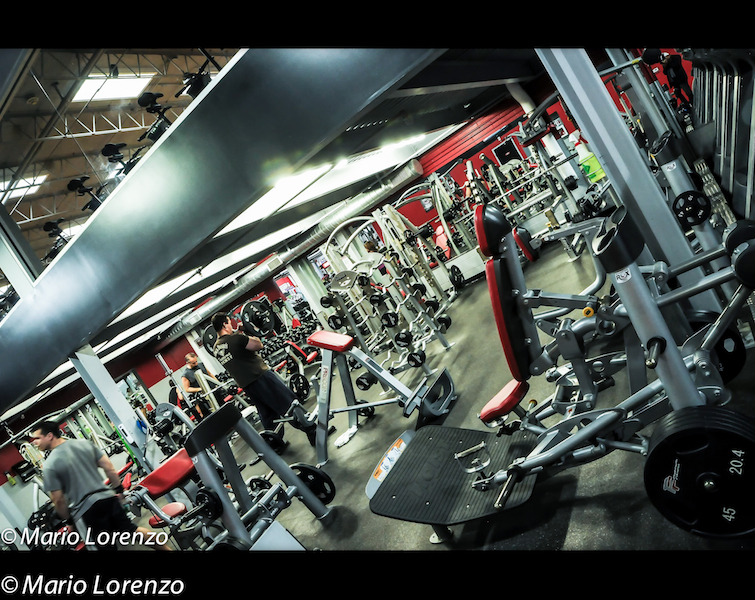 Platinum Health & Fitness | 9450 Transit Rd, East Amherst, NY 14051, USA | Phone: (716) 688-7100