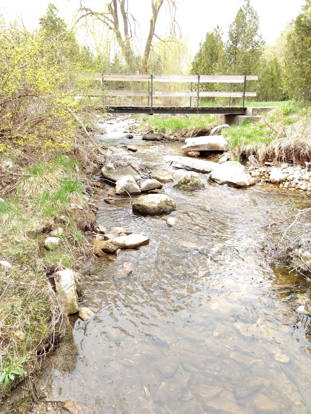Walkerton Centennial Park Swimming Pool | 1 James St, Walkerton, ON N0G 2V0, Canada | Phone: (519) 881-0318