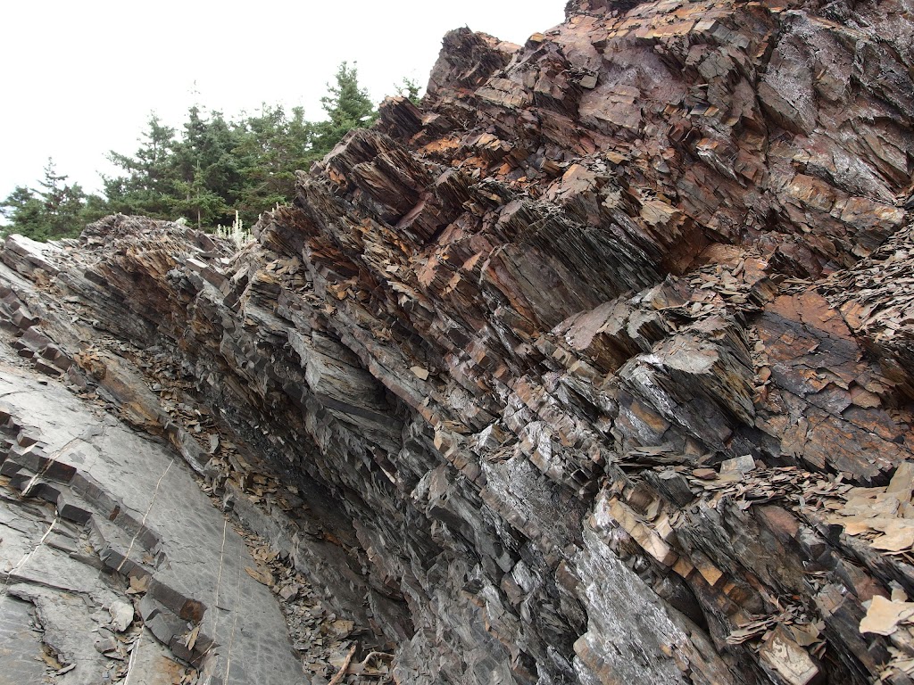 Arisaig Provincial Park | 5704 NS-245, Antigonish, NS B2G 2L2, Canada | Phone: (902) 863-4513