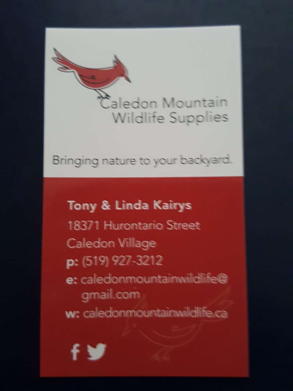 Caledon Mountain Wildlife | 18371 Hurontario St, Caledon Village, ON L7K 0X7, Canada | Phone: (519) 927-3212