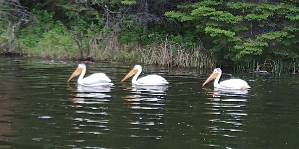 Memorial Lake Regional Park | Memorial Lake, Shell Lake, SK S0J 2G0, Canada | Phone: (306) 427-2281