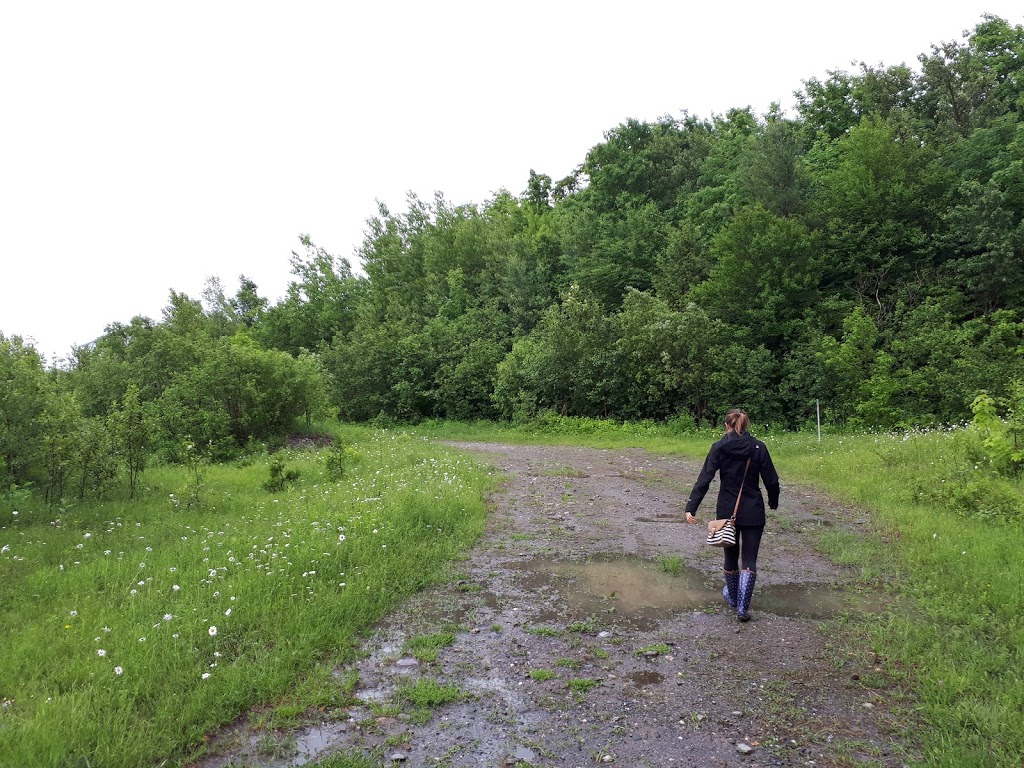 Parc Brochu-Châtigny | 102 Rue du Soudeur, Saint-Isidore, QC G0S 2S0, Canada