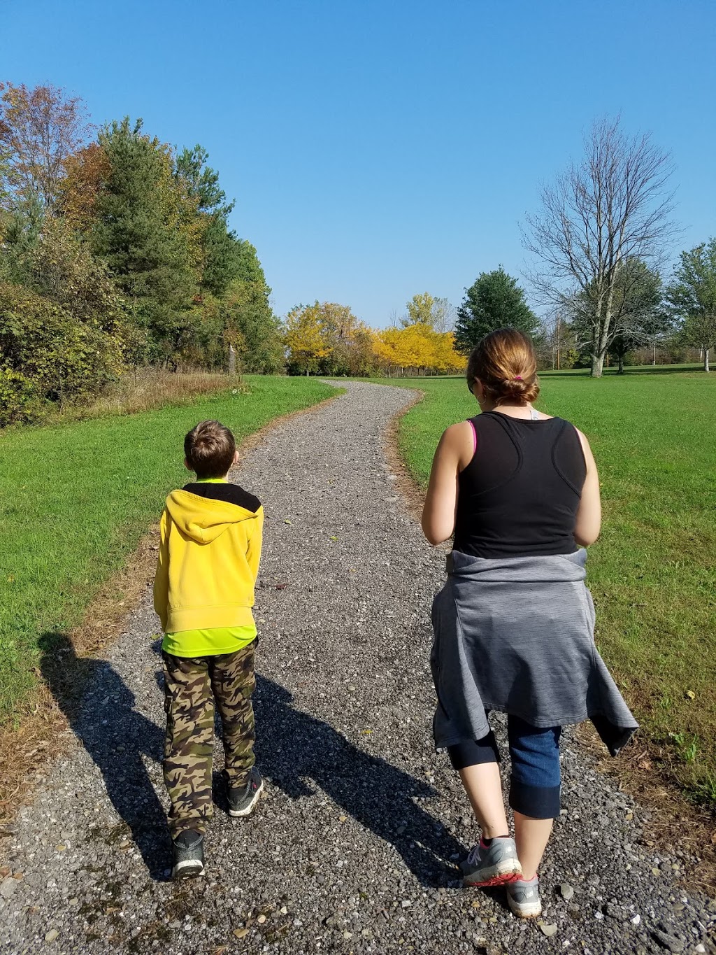 Town of Brant Town Park | 1020 Brant Farnham Rd, Irving, NY 14081, USA