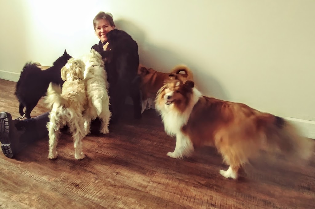 Elora Doggy Daycare | 11 E Mill St, Elora, ON N0B 1S0, Canada | Phone: (519) 215-7717