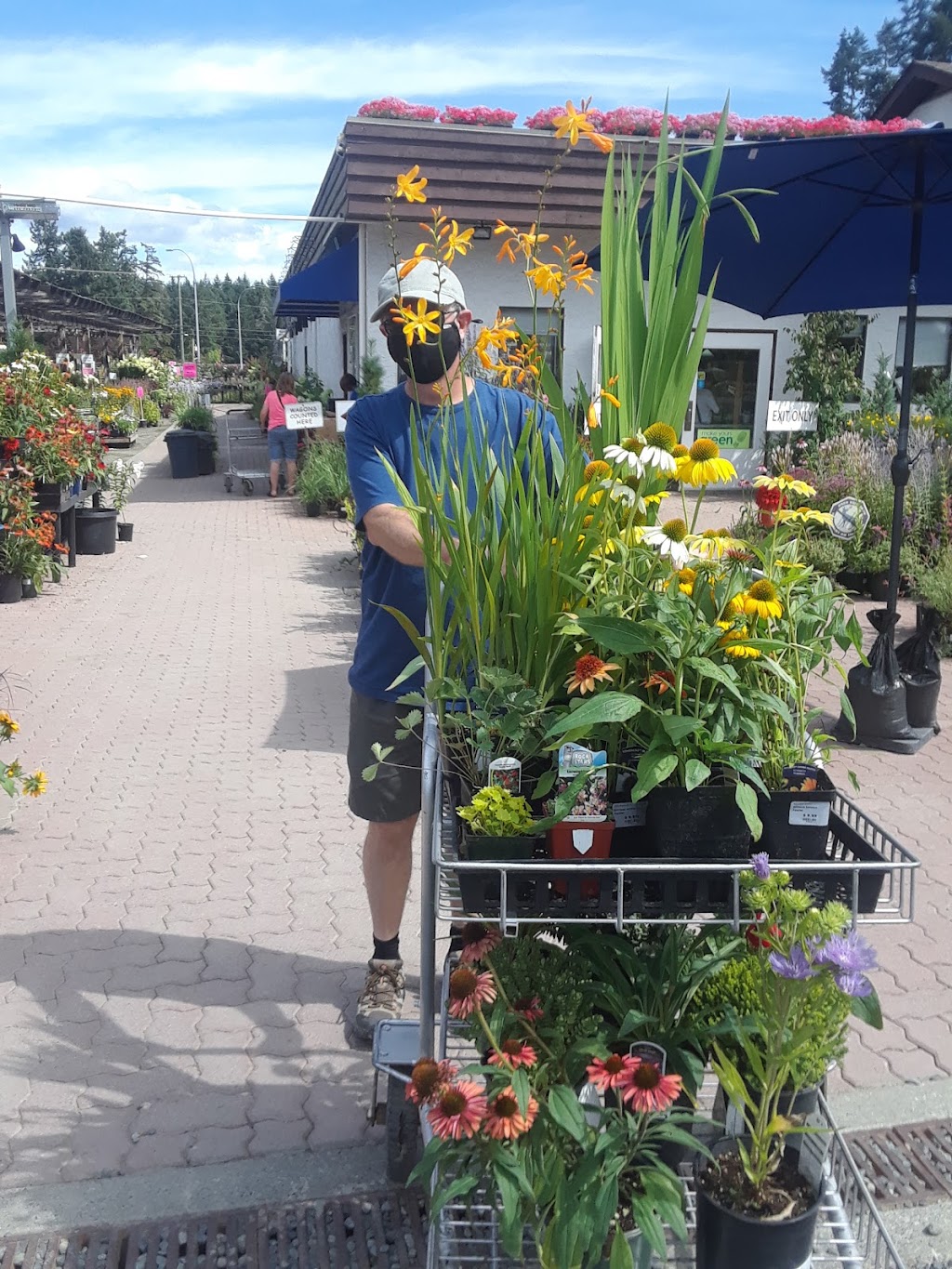 B Dinter Nursery Ltd | 2205 Phipps Rd, Duncan, BC V9L 6L2, Canada | Phone: (250) 748-2023