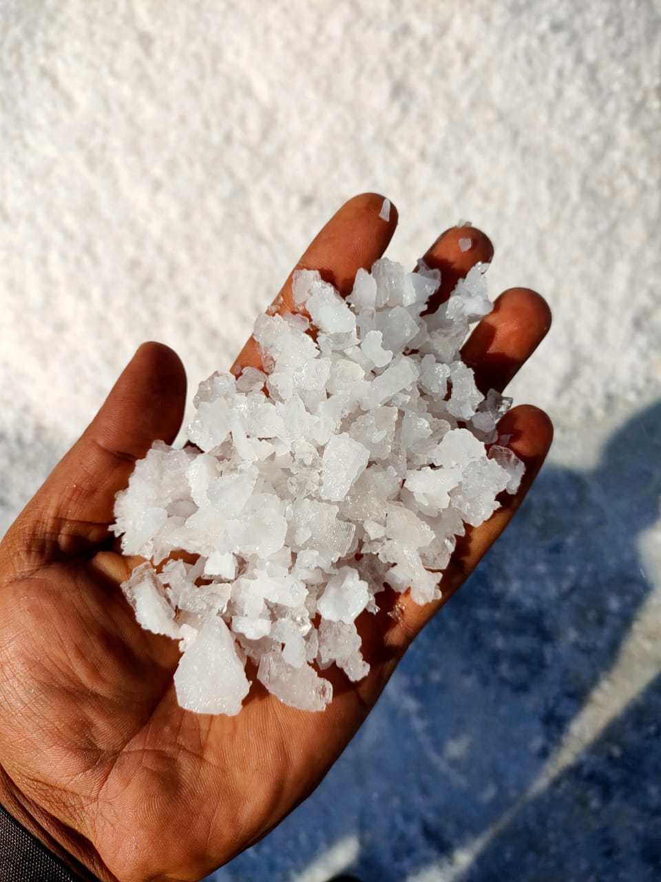 ATLANTIC OCEAN SALT INC. | 7566 Silver Creek Cresent, London, ON N6P 0G6, Canada | Phone: (226) 700-7597