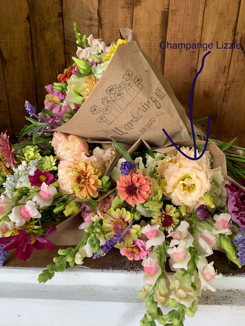 Wandering Bee Flowers | 23204 Nissouri Rd, Thorndale, ON N0M 2P0, Canada | Phone: (519) 868-9075