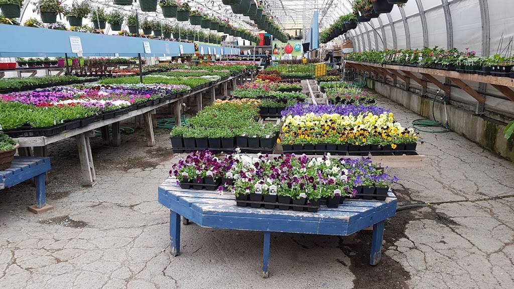 Top Crop Garden Farm & Pet | 2101 Cranbrook St N, Cranbrook, BC V1C 5M6, Canada | Phone: (250) 489-4555