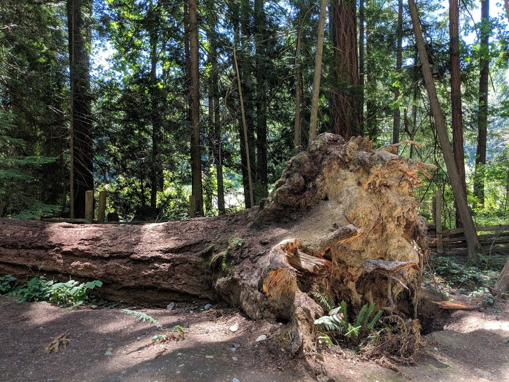 Hemer Provincial Park | Hwy 1, Nanaimo, BC V9X 1J3, Canada | Phone: (250) 474-1336