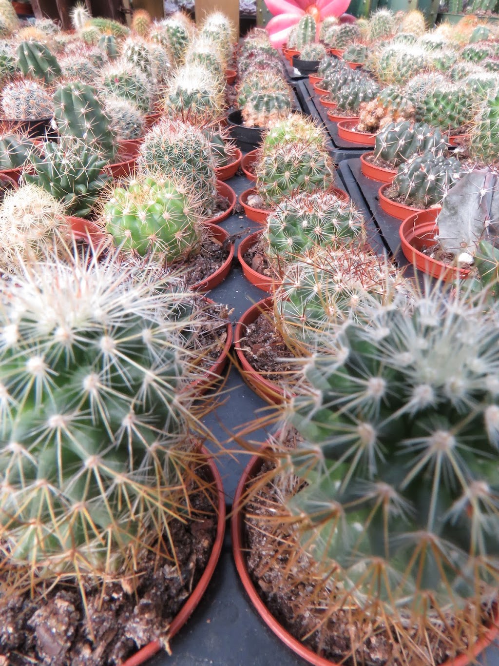 Salisbury Landscaping | 52337 Range Rd 232, Sherwood Park, AB T8B 1B8, Canada | Phone: (780) 410-0611