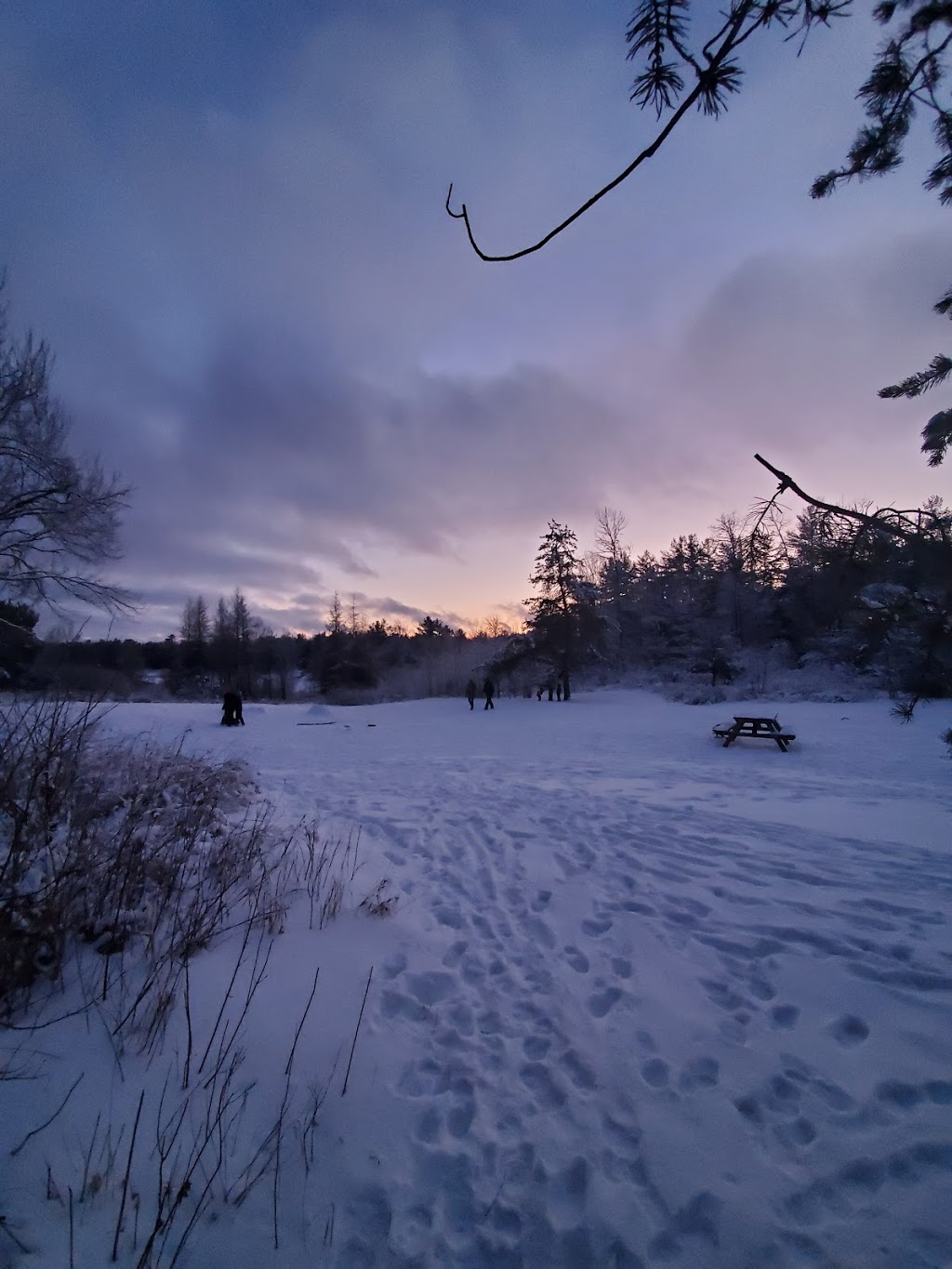 Great Moose Adventures | 1368 Houseys Rapids Rd, Gravenhurst, ON P1P 1R3, Canada | Phone: (705) 687-3903