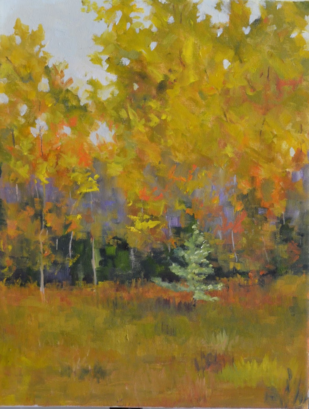 Studio 737 Art Gallery | 505 Bryne Dr, Barrie, ON L4N 9P7, Canada | Phone: (705) 734-0332