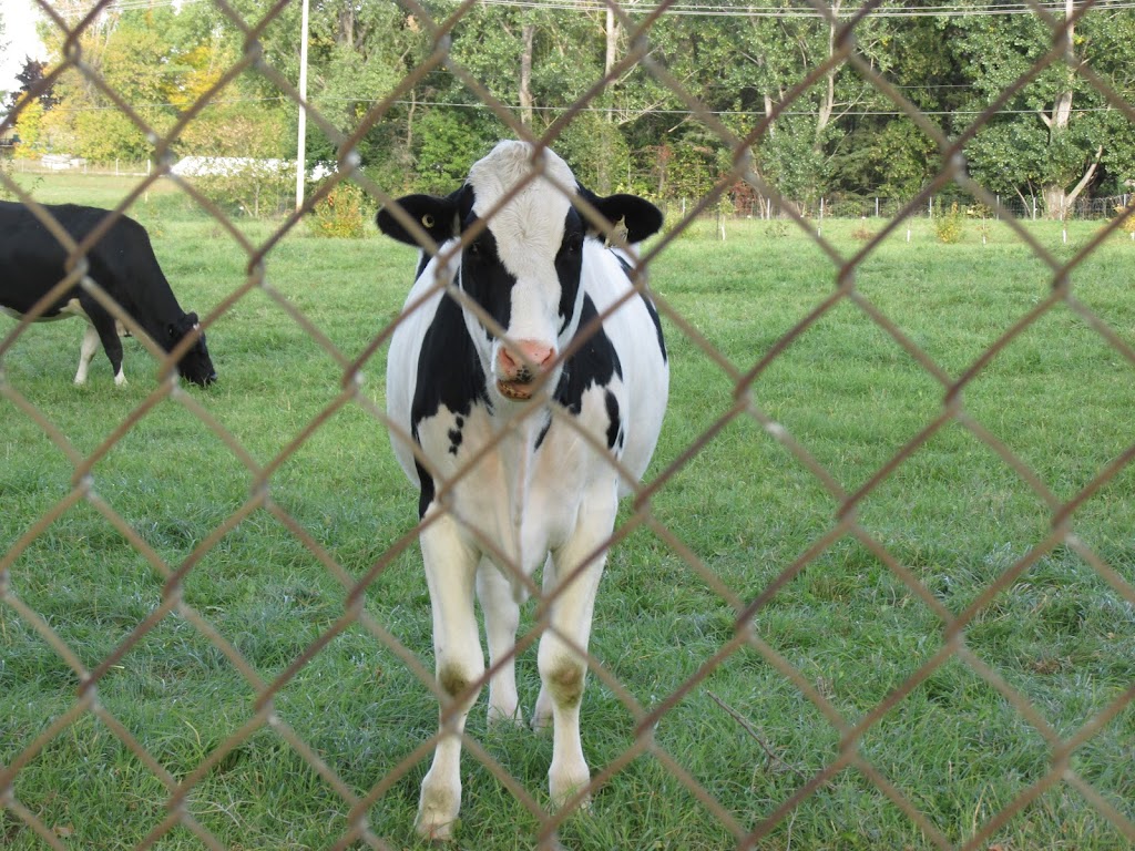 Macdonald Farm | Sainte-Anne-de-Bellevue, QC H9X, Canada | Phone: (514) 398-7701