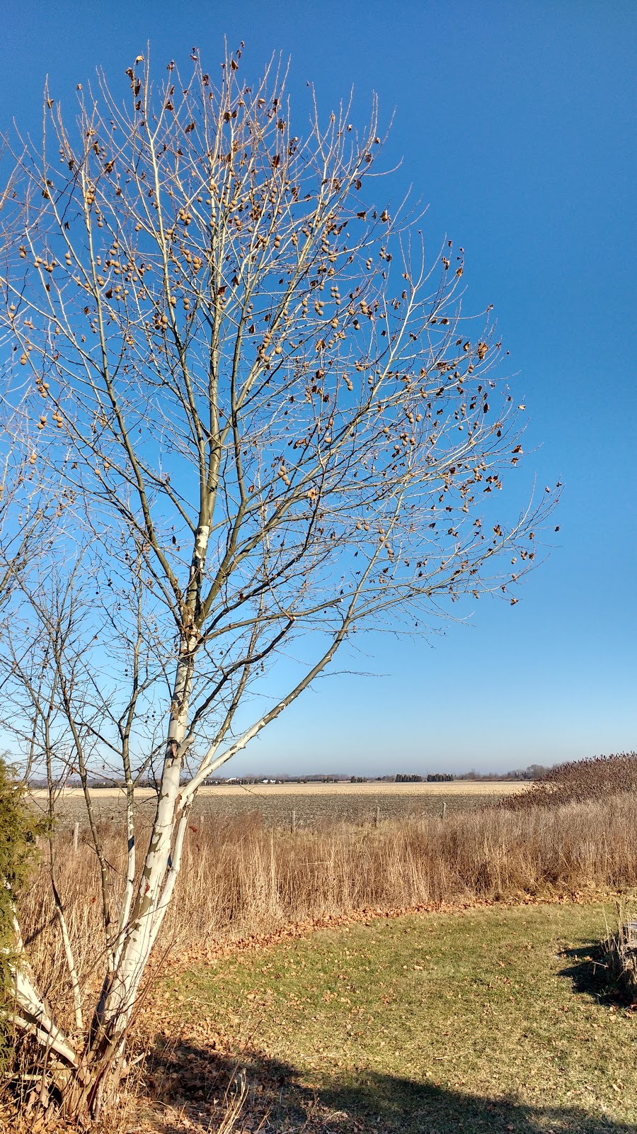 NATURE WAY, Suncor Energy Foundation | 1086 Modeland Rd, Sarnia, ON N7S, Canada, Canada
