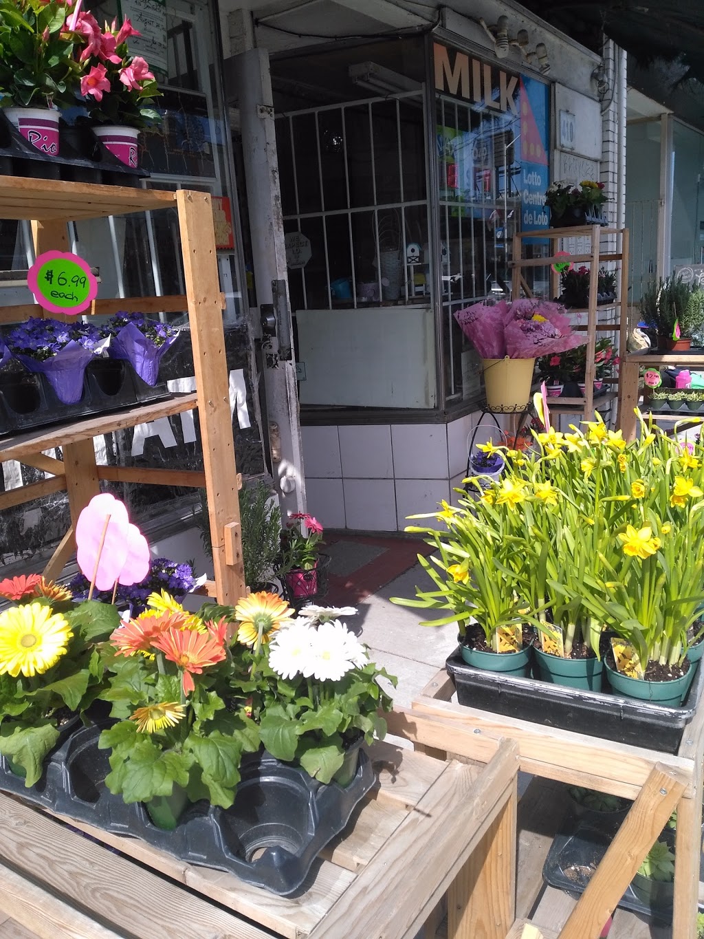 Chester Variety | 410 Danforth Ave, Toronto, ON M4K 1P3, Canada | Phone: (416) 778-6436