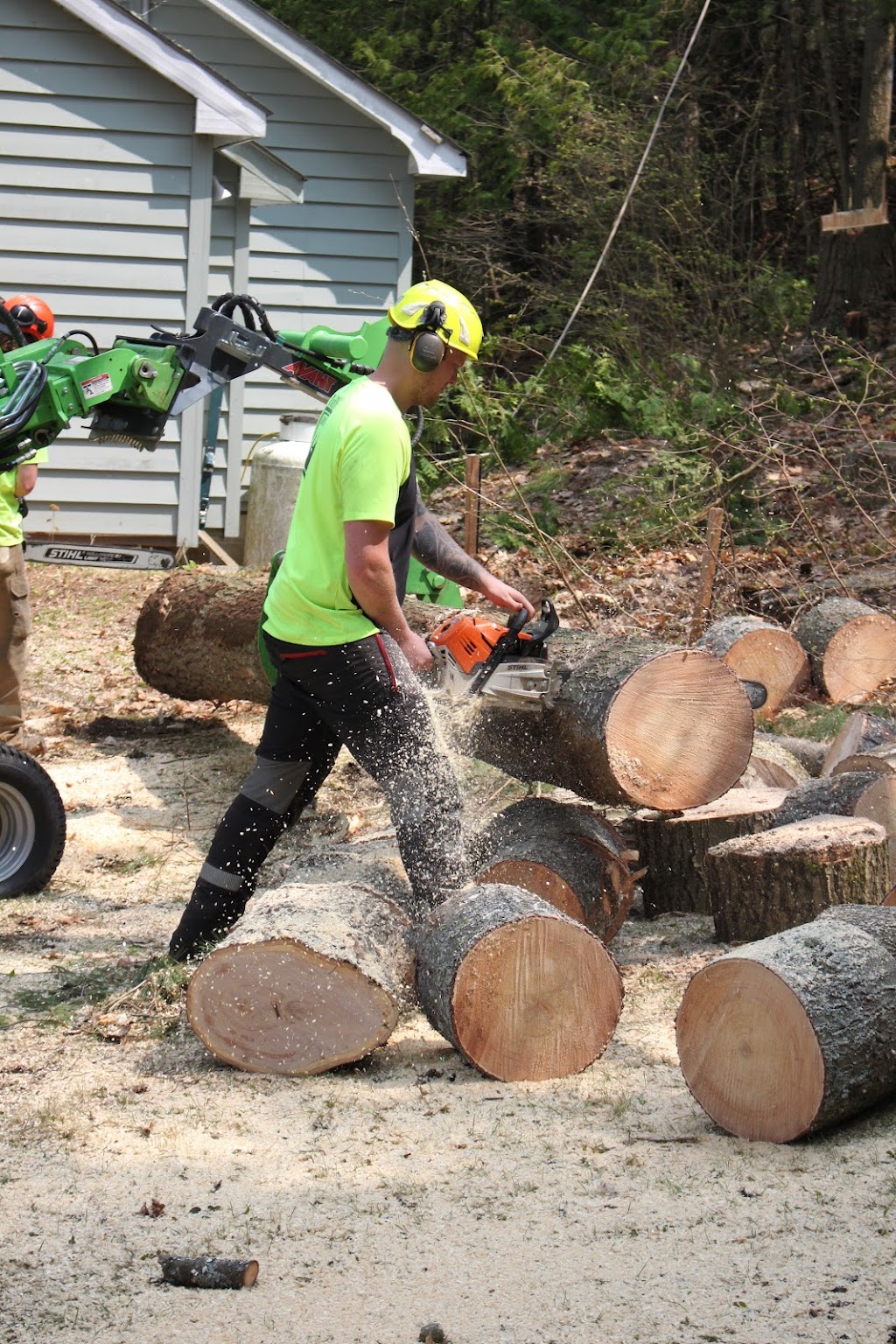 TreeKings Arboriculture Inc. | 1414 Caribou Rd, Minden Hills, ON K0M 1S0, Canada | Phone: (705) 457-5716