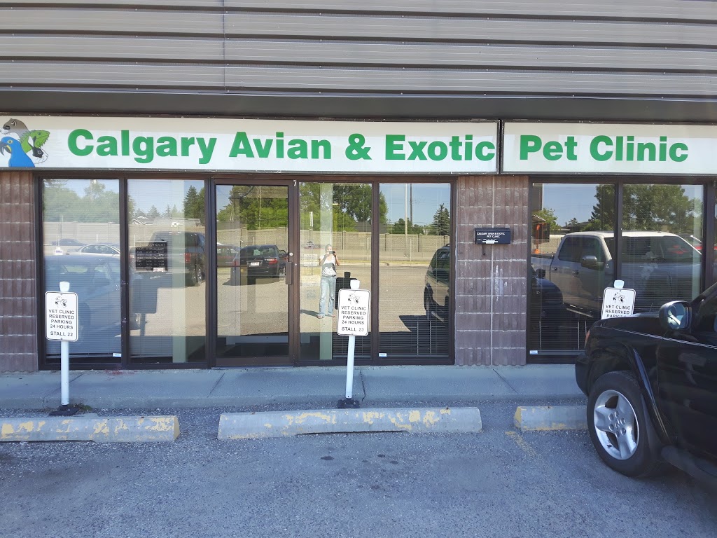 Calgary Avian & Exotic Pet Clinic | 2308 24 St SW #1, Calgary, AB T2T 5H8, Canada | Phone: (403) 240-3577