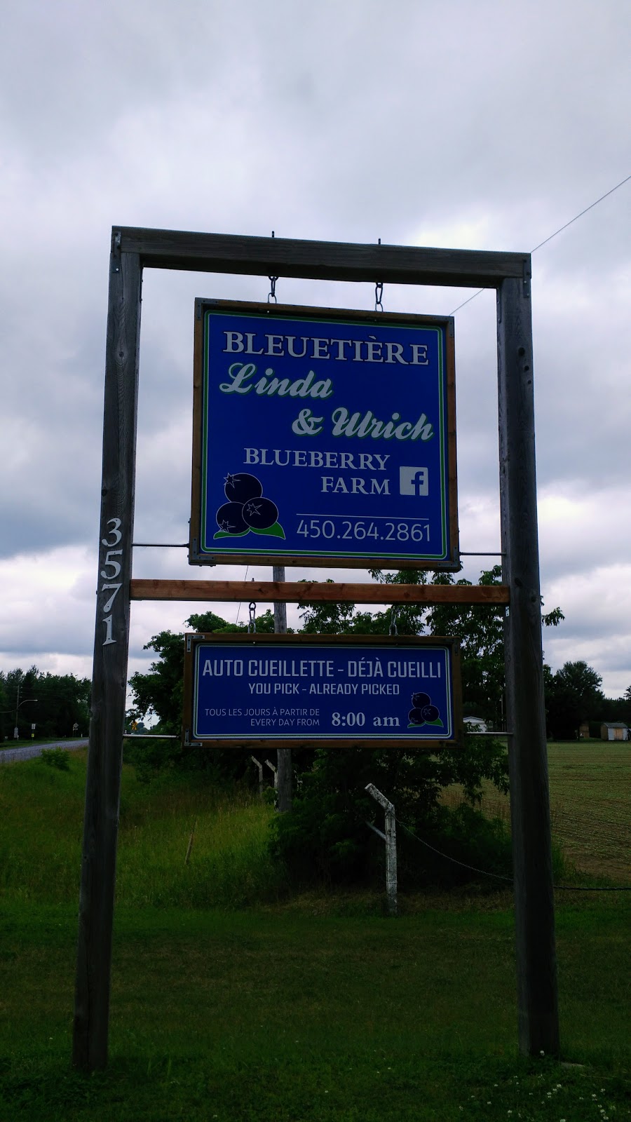 Bleuetiere Linda et Ulrich | 3571 QC-132, Saint-Anicet, QC J0S 1M0, Canada | Phone: (450) 264-2861